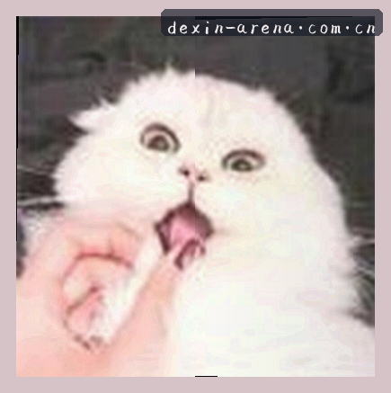 张先生
